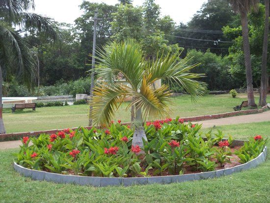 Indira Park